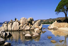 开云体育-帕尔梅拉斯主场迎战恩菲尔德，锋线火力引爆看点