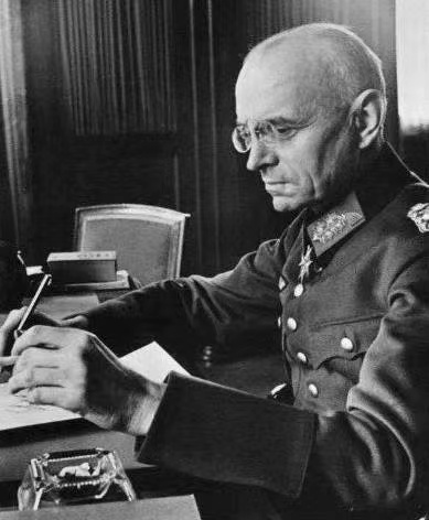 比利时女队前锋连续破门，成为国家英雄的简单介绍