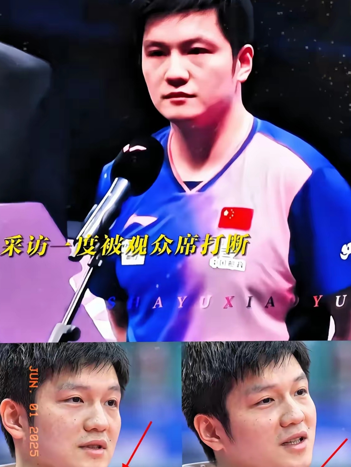 比利时乒乓球队鏖战德国乒乓球队，樊振东打破历史纪录的简单介绍