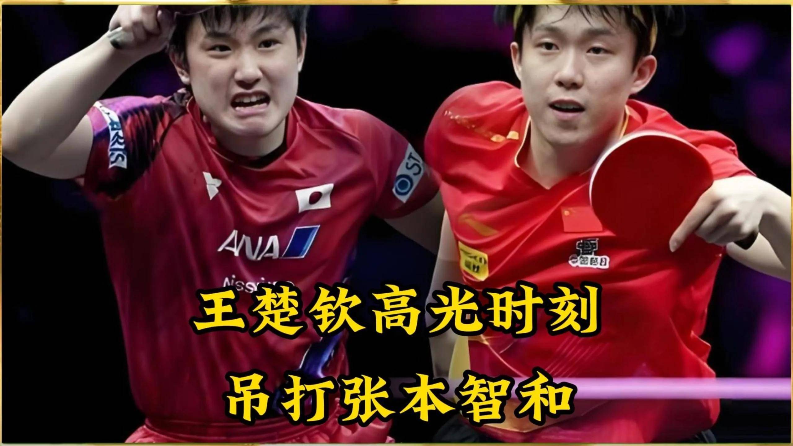 中国队碾压波兰队,张本智和带队取胜 中国队碾压波兰队,张本智和带队取胜