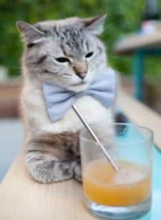 东决关键战焦点战,黄蜂逆境突围篮网,年轻风暴席卷东部