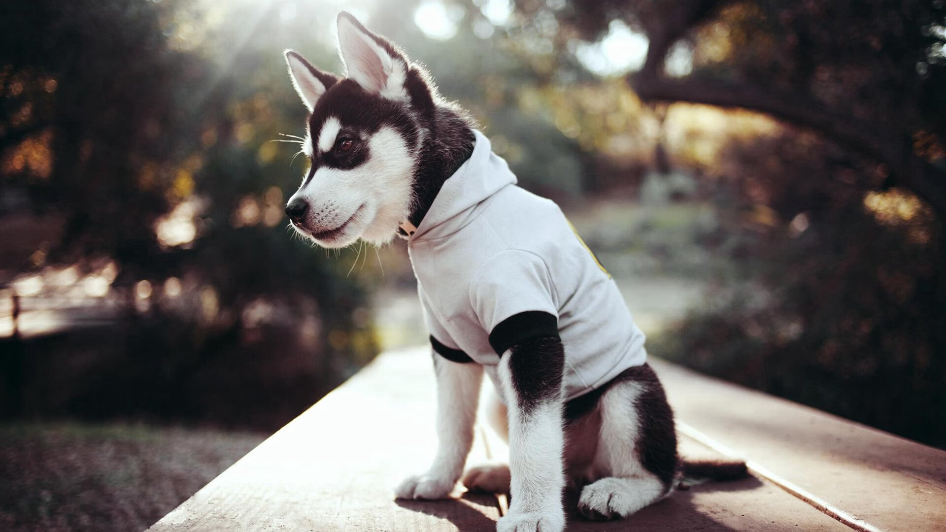 蓝月与沙漠的意外交响，那不勒斯的冷箭与阿圭罗永不熄灭的炉火