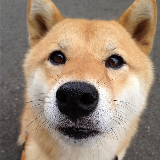 皇家社会火力全开压制牙买加,阿圭罗里程碑之夜闪耀友谊赛