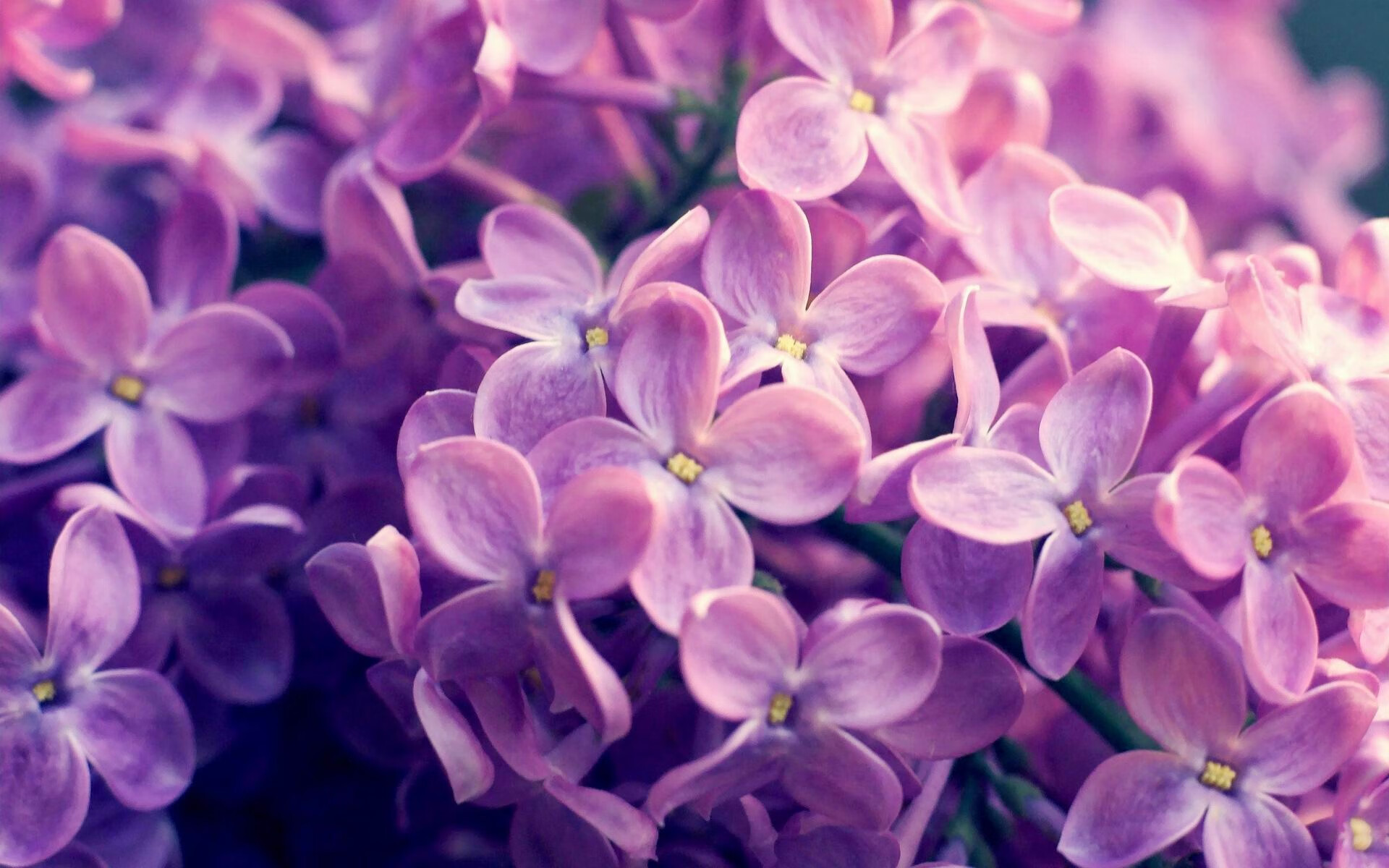 开云体育下载-基耶萨狂想曲，年度焦点之夜，一人撕裂钢铁防线