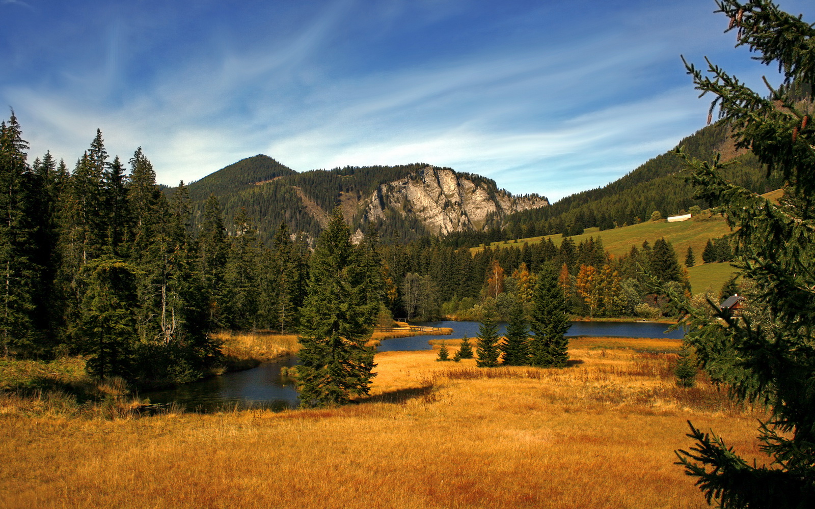 开云体育官网-新引擎的脉搏，爱德华兹如何让F1围场心跳同步