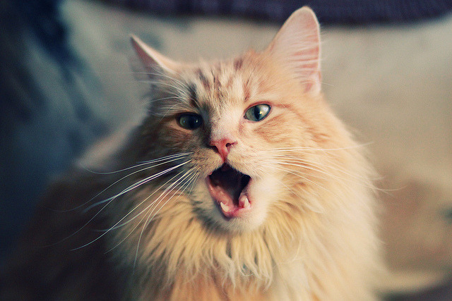 开云体育官网-杜兰特单核驱动，步行者闪电战击溃吉林队顽强阻击