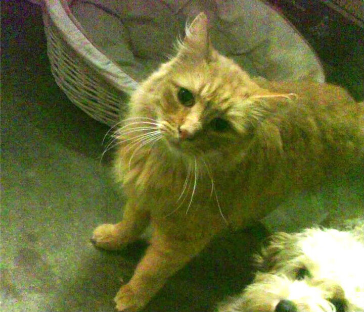 浙江队强势击败灰熊，克莱关键时刻彰显英雄本色