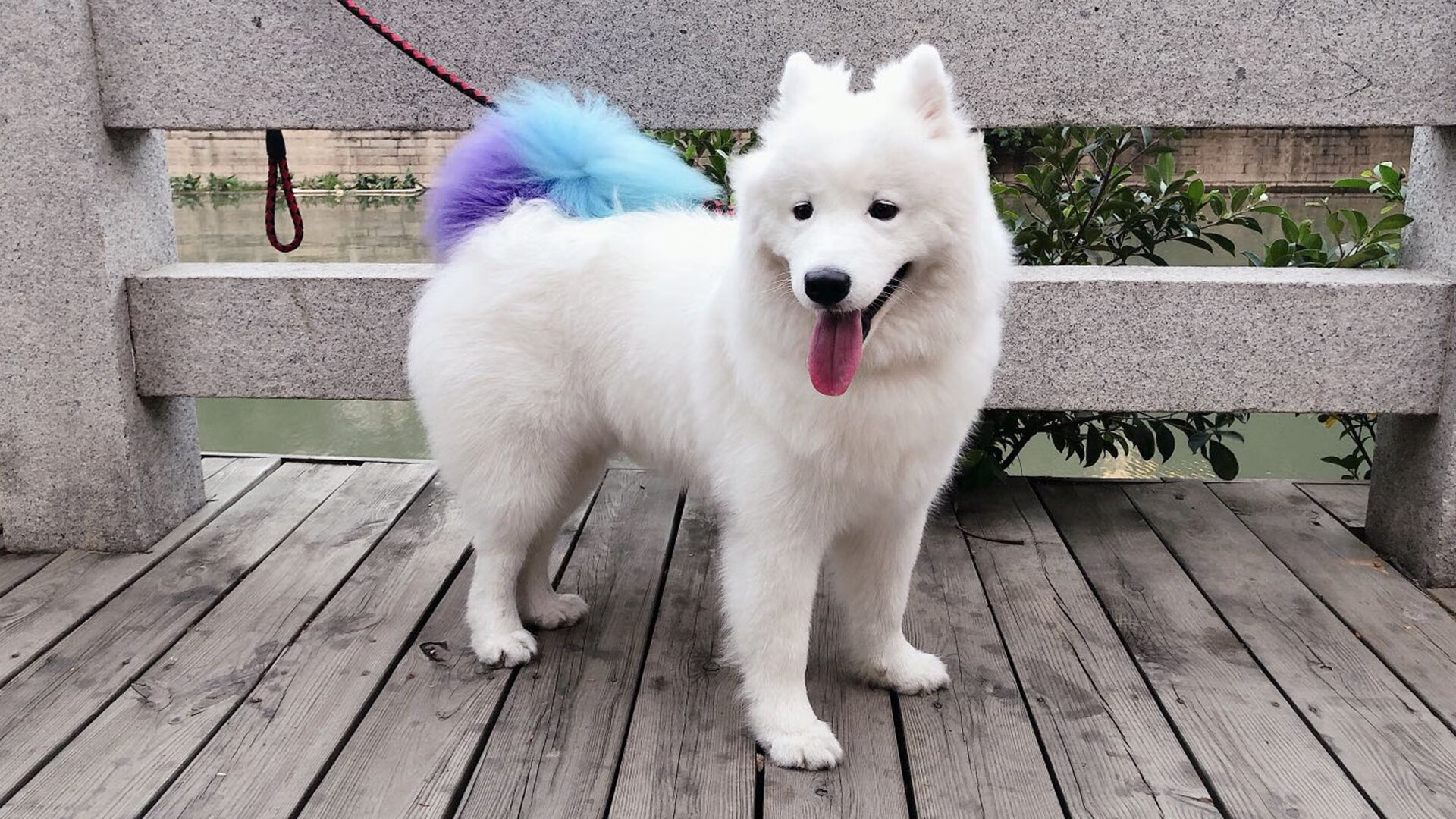 开云体育登录-蓝衣逆转交响曲,布克导演的绝地反击夜