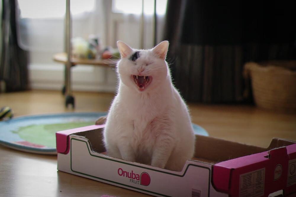 德里赫特爆发！加纳速胜勒沃库森，防守艺术与闪电战，现代足球的双面镜