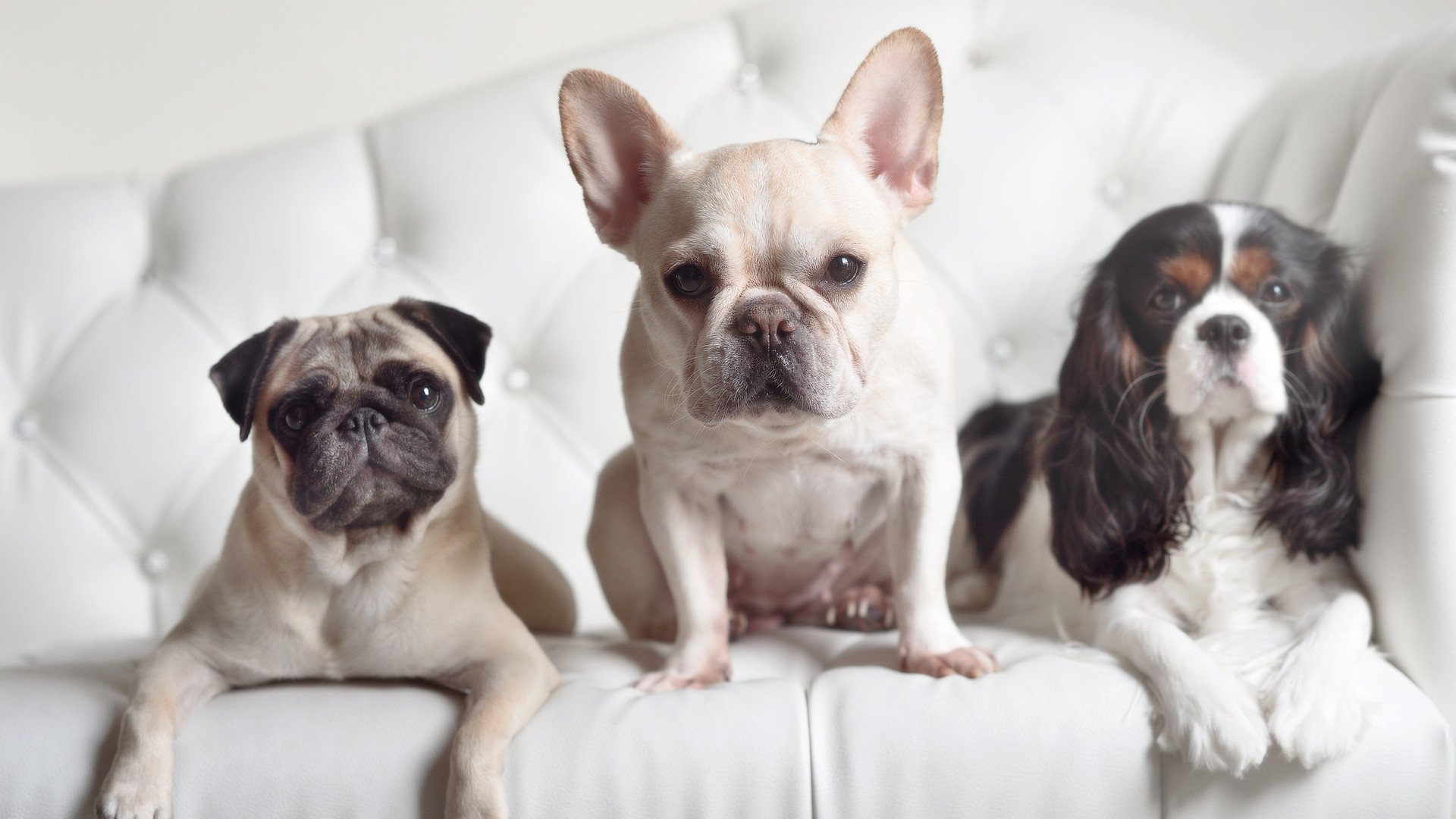 孤胆三分终为虚妄，铁血防守铸就真理，杰伦·格林闪耀一刻何以黯淡收场？