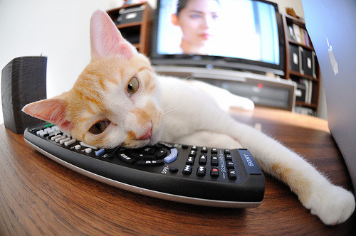 死神降临！德罗赞冷血绝杀骑士，黄蜂惊险胜利彰显大场面先生本色